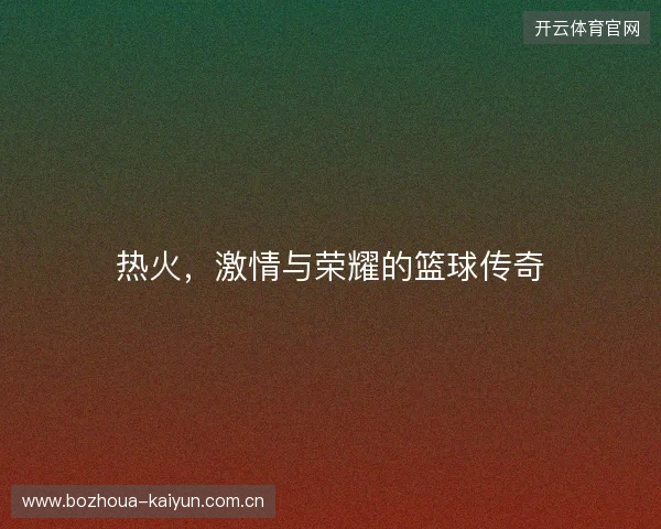 热火，激情与荣耀的篮球传奇